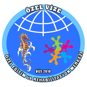 logo-vize
